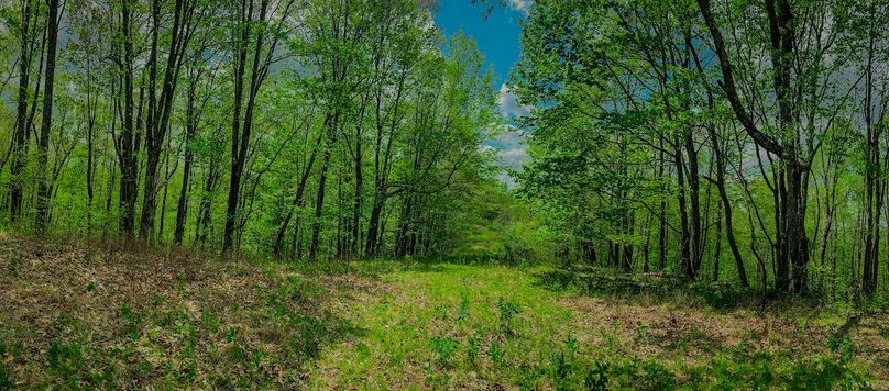 Doddridge, WV 64.69 AC Davis-22