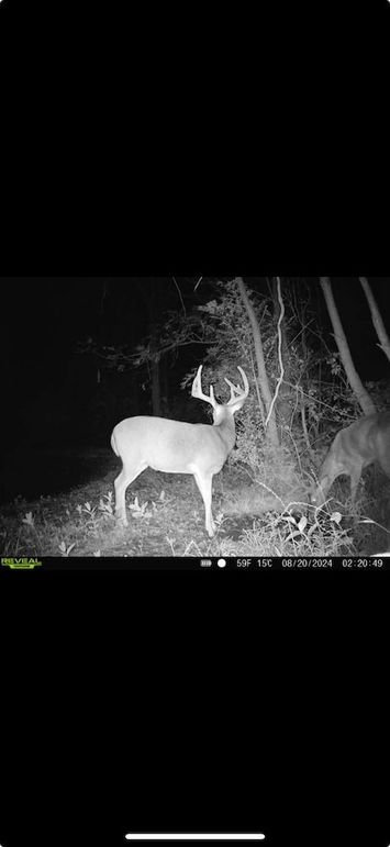 Screenshot 2026-01-09 at 12.40.22 PM