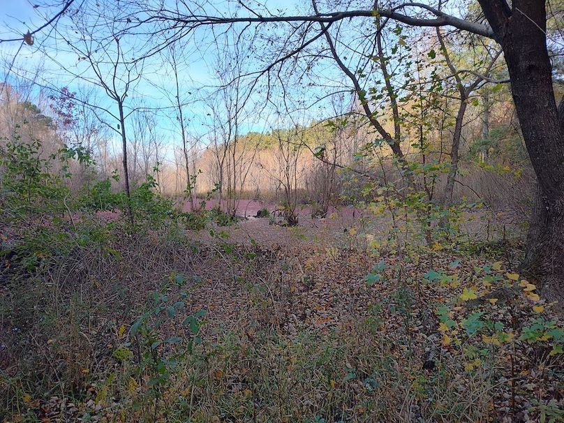 IMG_20251105_153815592_HDR