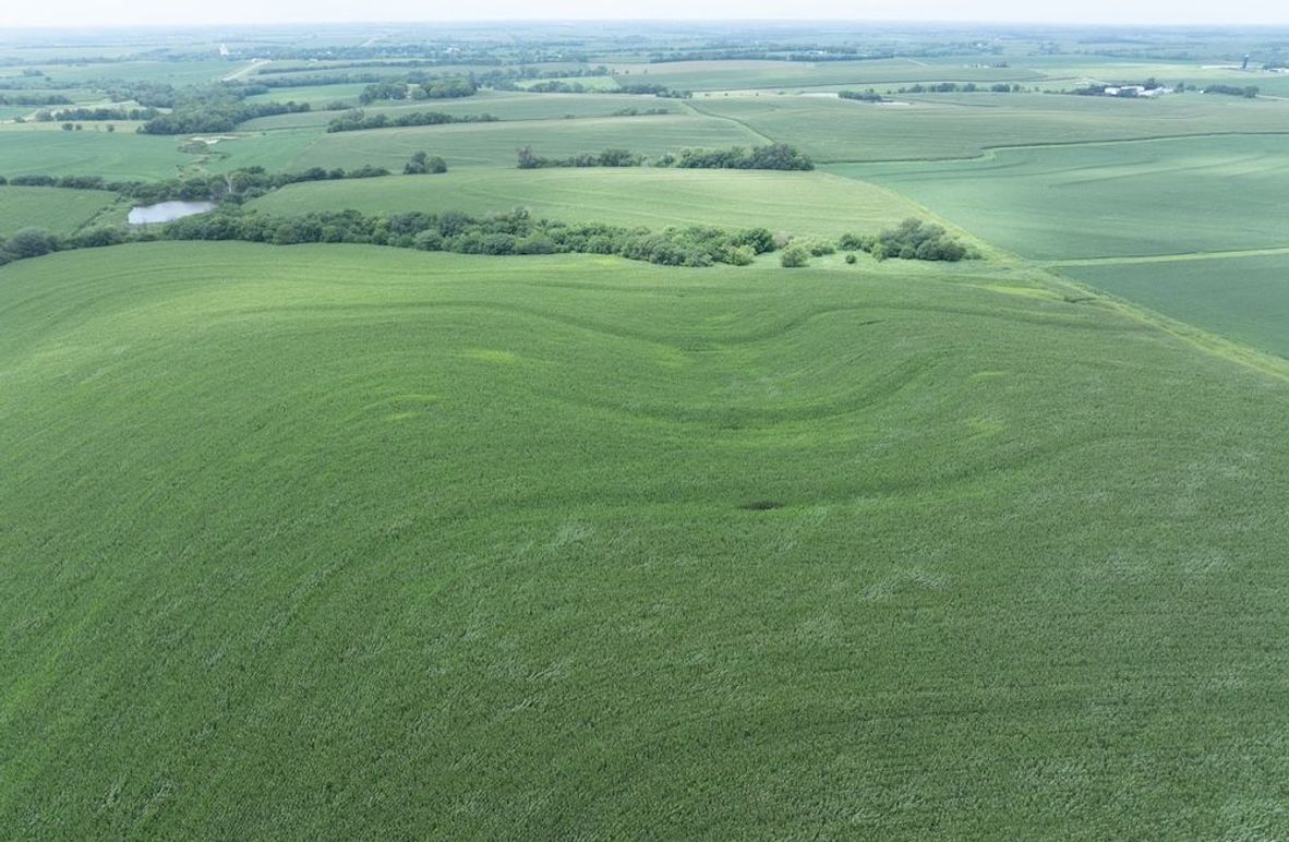 Copy of DJI_20250720133535_0069_D