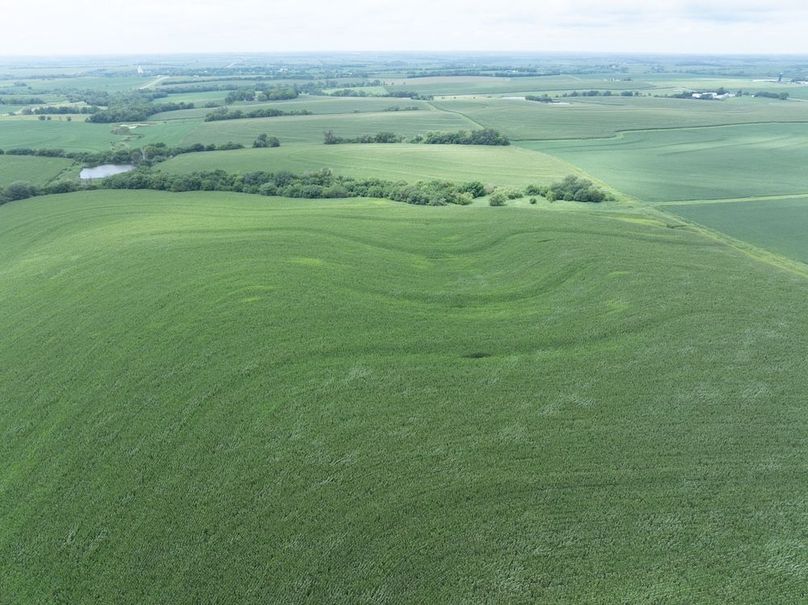 Copy of DJI_20250720133535_0069_D