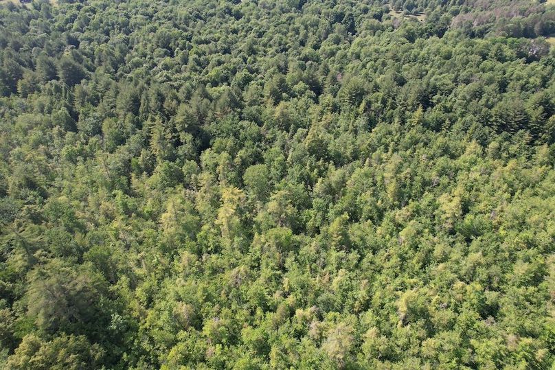 Oswego_24_Frank Photo 58