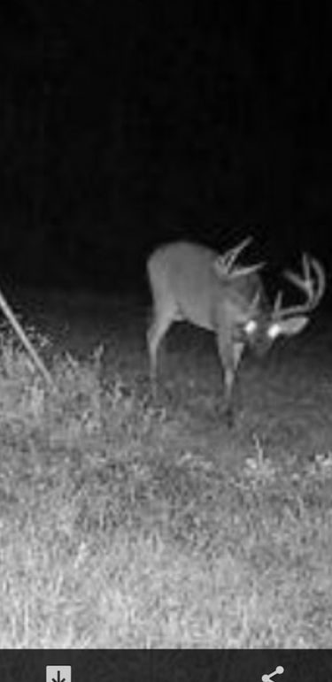 DB8C840B-55CA-4EC7-BF3E-A2B9AFC2A645