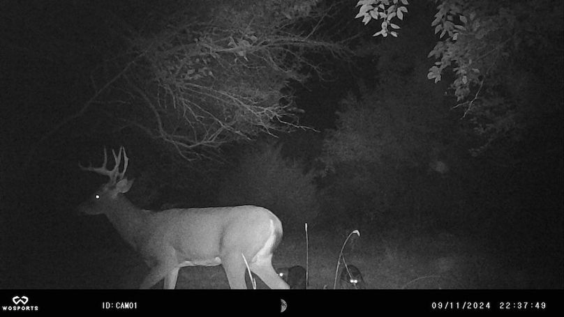 Trail Cam 9