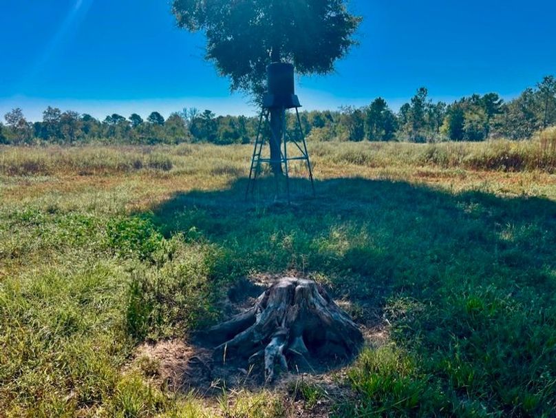 2D673D79-84E5-40F5-995C-A912693B392D_1_105_c