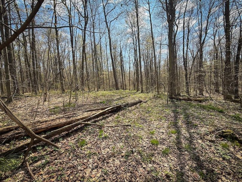 Cayuga_23.5_Demott_photos_31