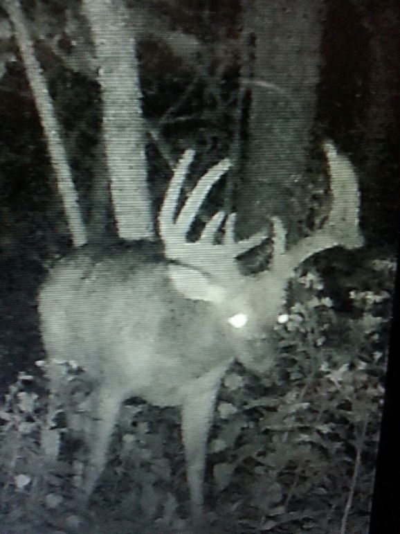 6FC08AA8-92E7-4953-B263-A3B9481E0B94