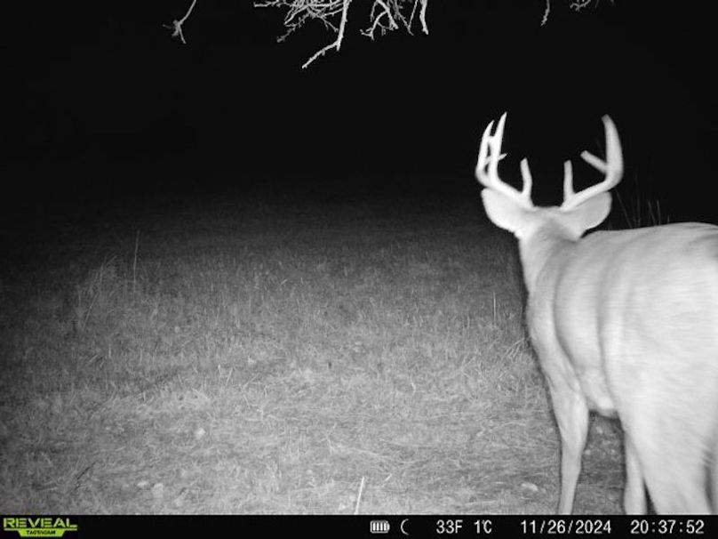 868032067092464-90-4-11262024203752-W1023829