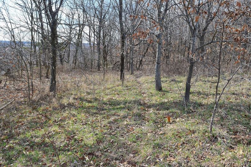 DSC_0331_inPixio (2)