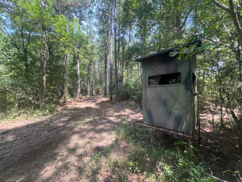 BE295C64-FDDA-4BCF-9C0F-DEB13B929804_1_105_c