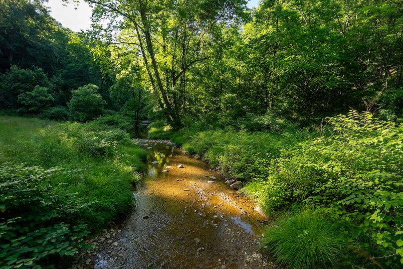 Wetzel WV 171 Featured_Pro Photo-37