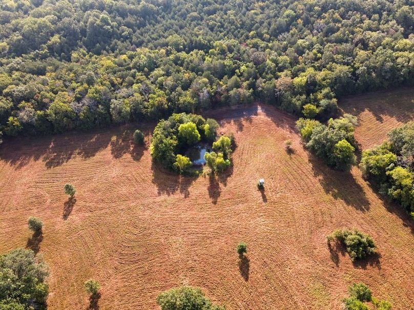 dji_fly_20250826_083606_684_1756215387635_photo