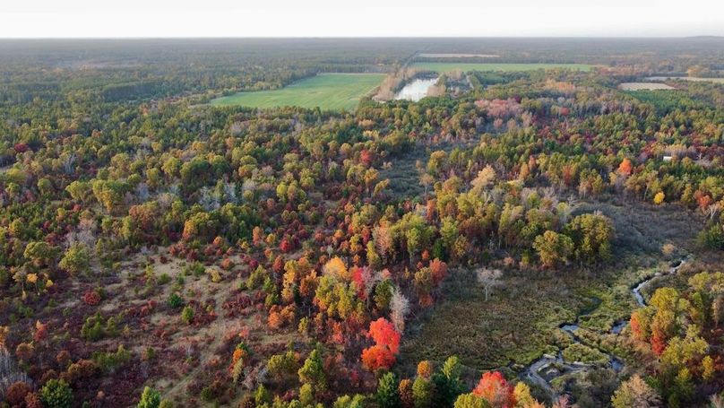 dji_fly_20241011_174614_438_1728687469788_photo_optimized 2