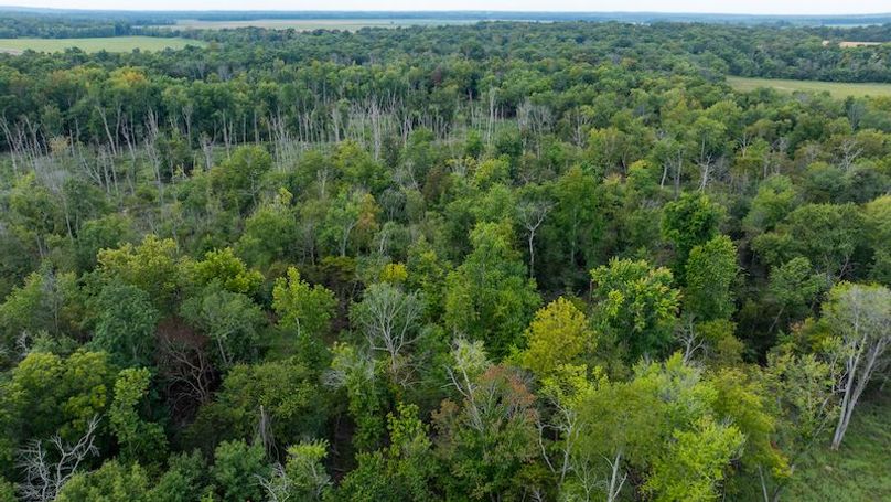 DJI_20250909194748_0030_D