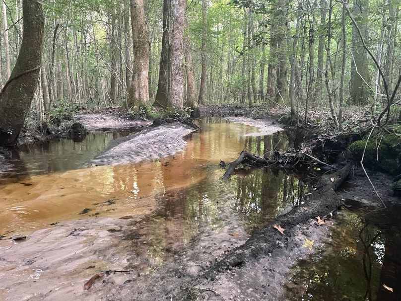 IMG_0269.JPG efffingham