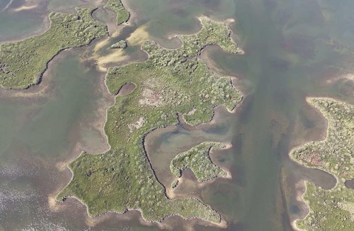 17.17ac, Citrus, Josiah Ronco03