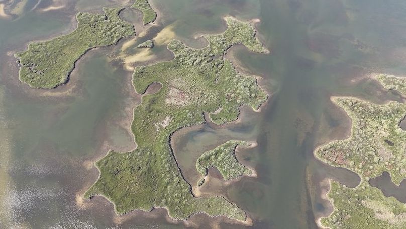 17.17ac, Citrus, Josiah Ronco03