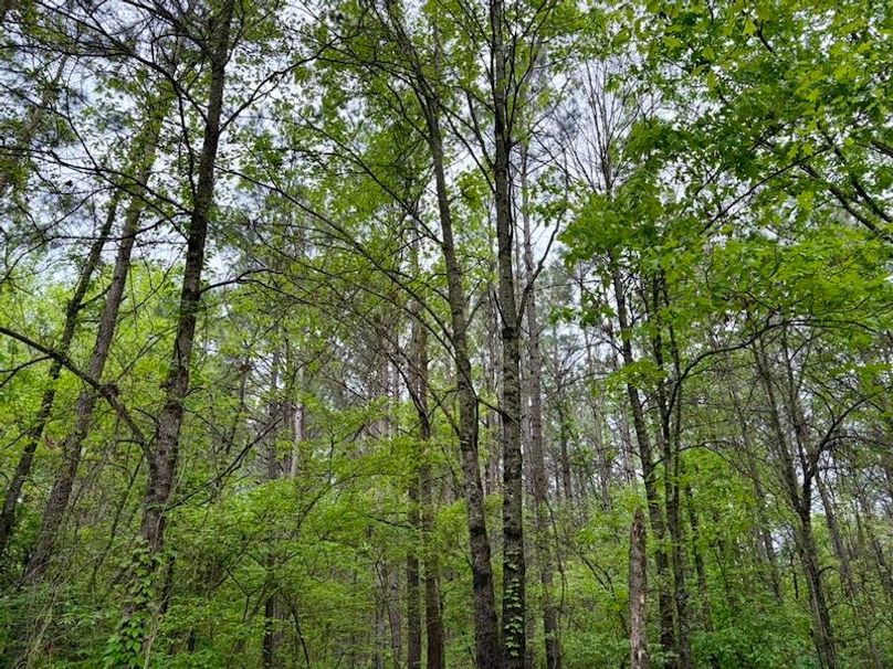 3A977E72-293E-4ED7-BBFE-4F5D55134610_1_105_c