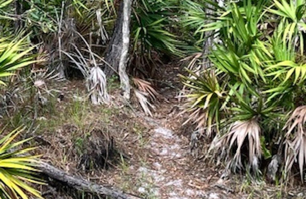 323C9523-1F5B-423A-8651-D8F893A718ED_4_5005_c