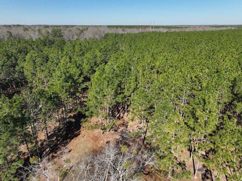 dji_fly_20240207_103116_25_1707320838975_photo