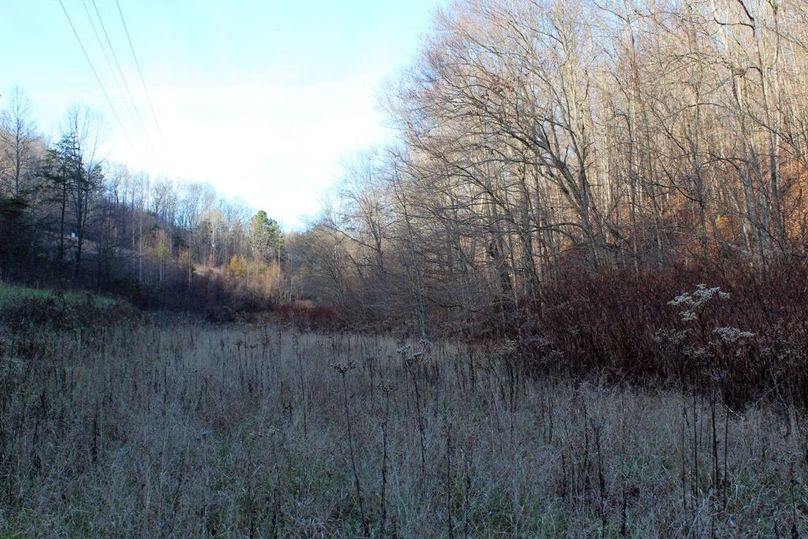 040 long narrow field along the old county road