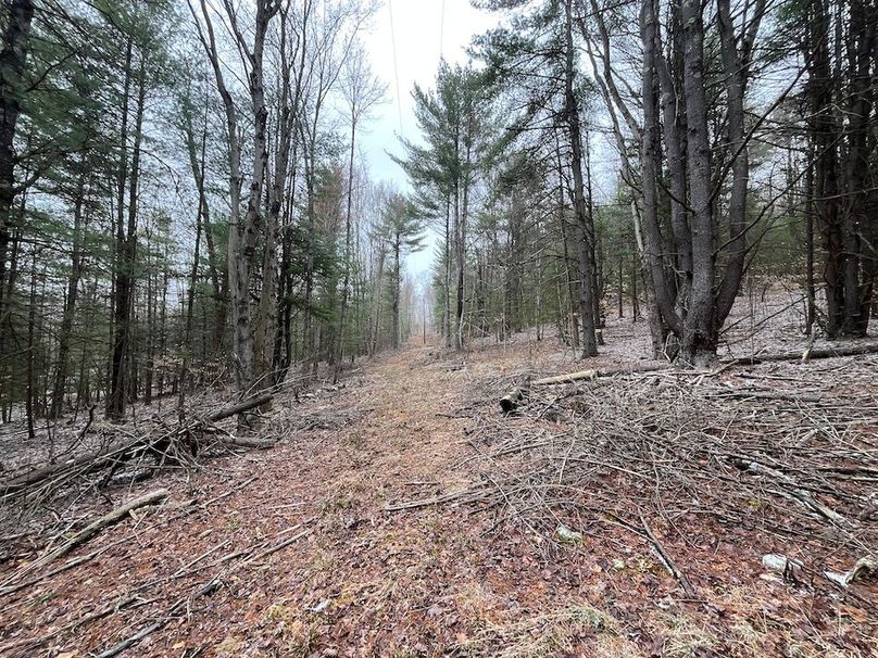 Chemung_17.45_Delsey Photo 6