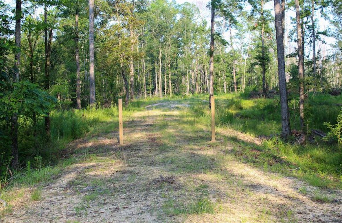 Copiah Co - 192 - Nutt-04