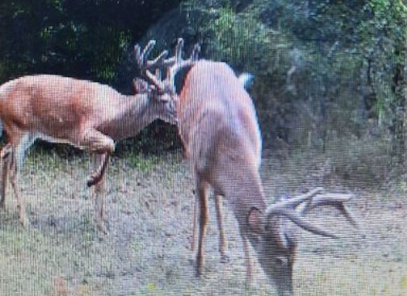 Lee County, MS 92+--26