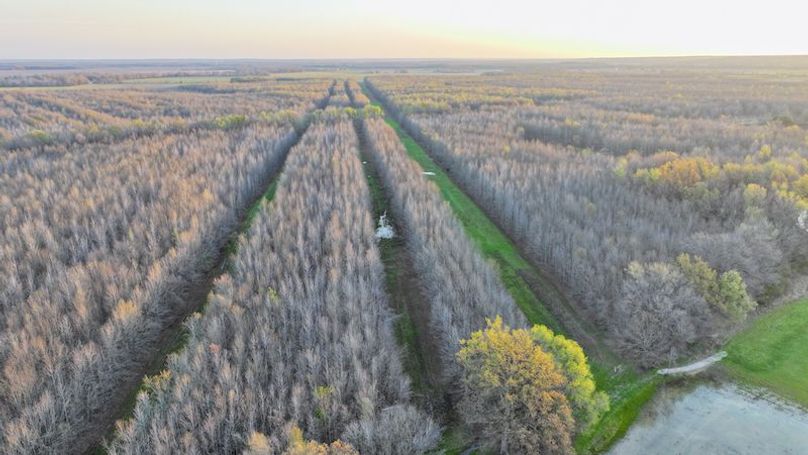 Panola 164.7 SPI Land Ventures-6