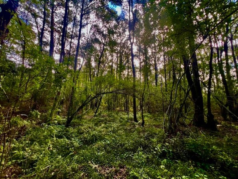 A90345BA-D8D0-40DB-B775-776C57000993_1_105_c