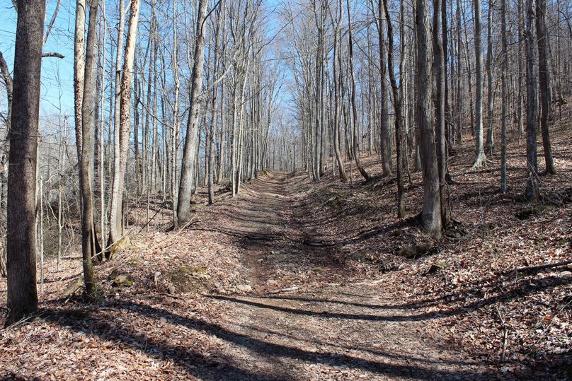 010 old abandoned county road along the northwest boundary