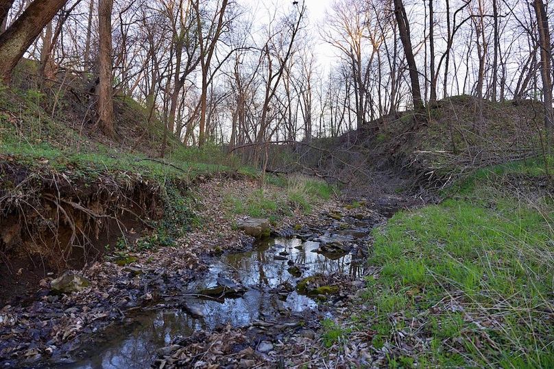 14 Copy of 38 CX9A0558