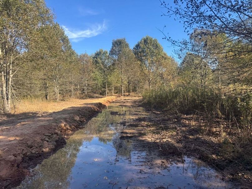 1a1 jeff 8320251111_0243