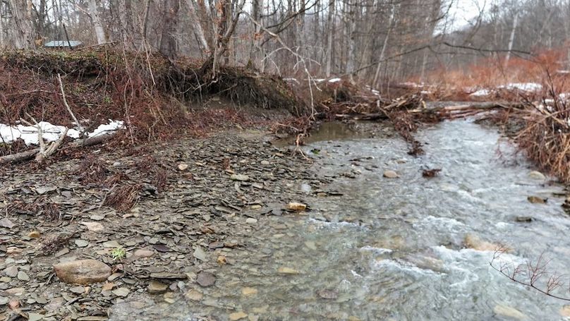 7 DJI_20260115041020_0016_D