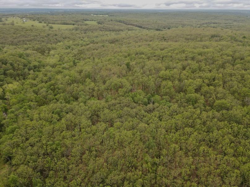 dji_fly_20260519_171328_446_1779228822149_photo