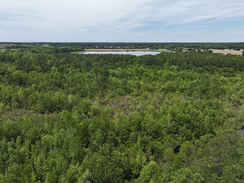 DJI_20250427122950_0048_D