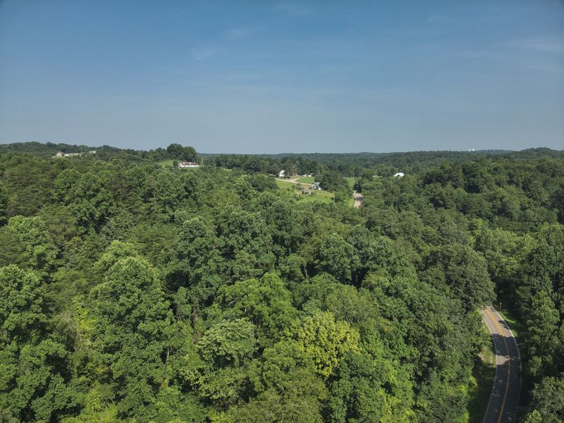 12. Tree Line (18acres)