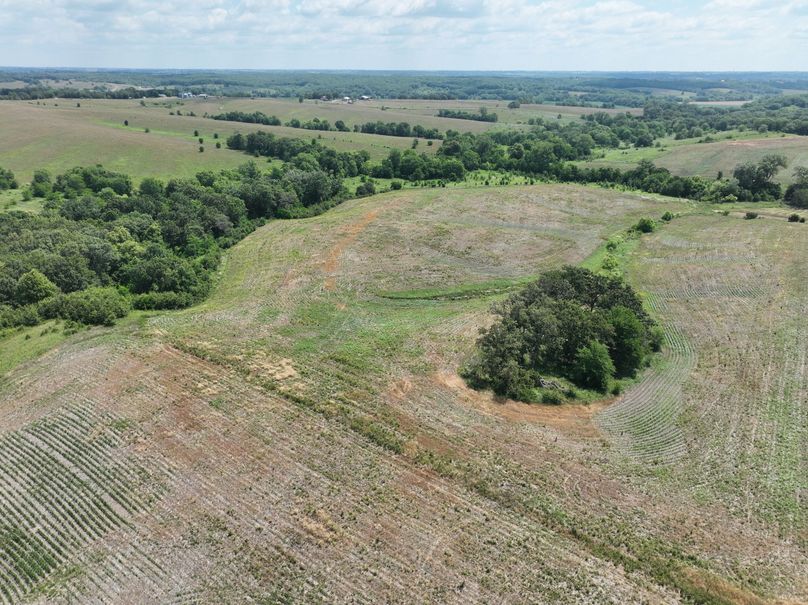 dji_fly_20230625_114844_459_1687717425521_photo