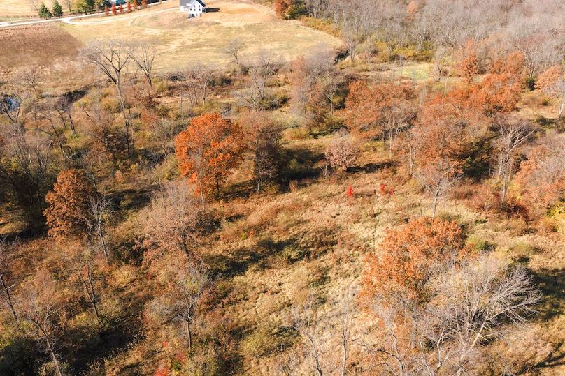 DJI_20251116125108_0184_D