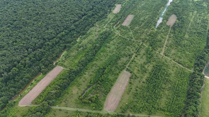 DJI_20240720044146_0007_D (1)