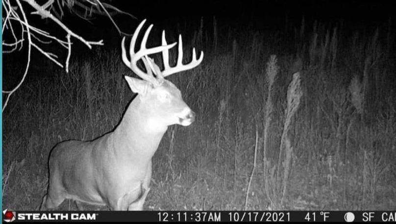 Screenshot_20220717-160627_Facebook