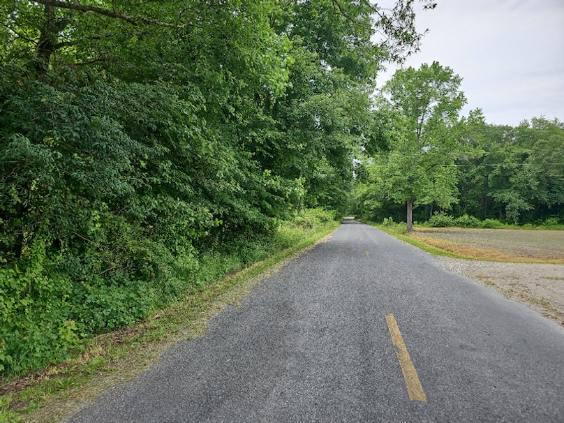 37.98ac_TempleRd_BGORE_05_TempleRoad