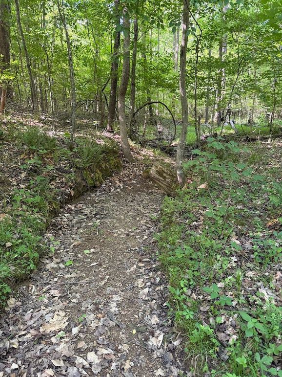 Image 14