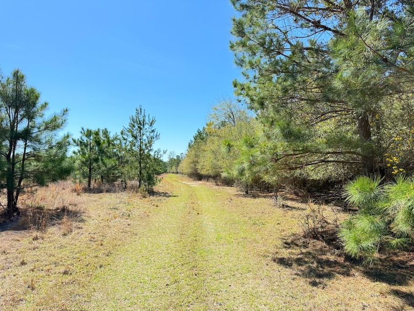 C8625FF5-D72E-45FB-808A-59BAD6BF5E6D