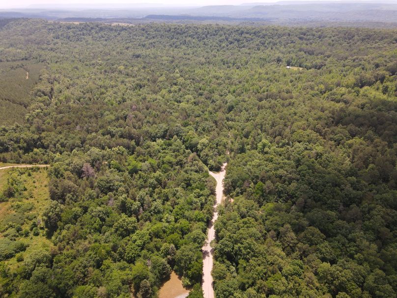 DJI_0151