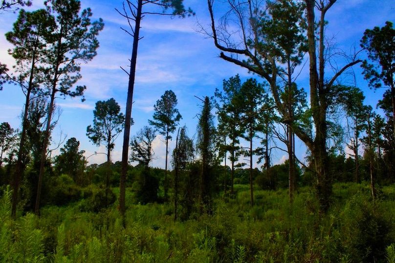 E0929DC4-E44B-4D72-892C-24183A378D5F_1_105_c