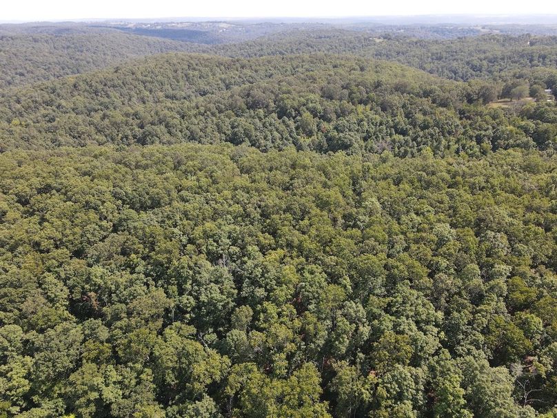 dji_fly_20250818_150920_670_1755547773497_photo