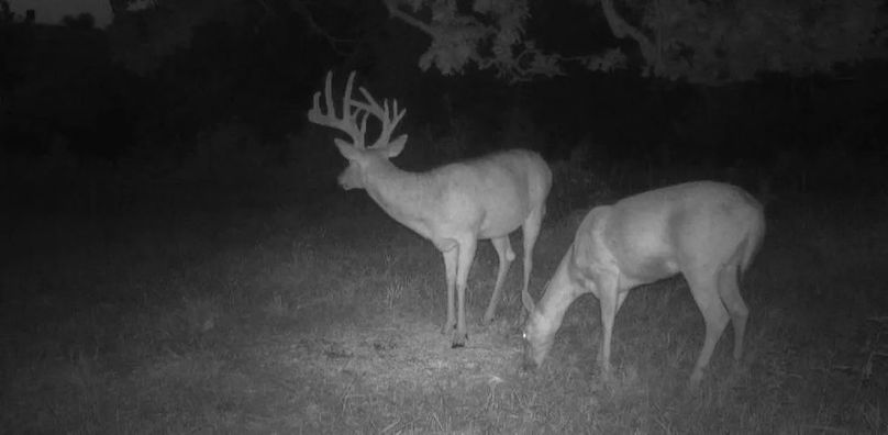 Copy of 1-5497689477