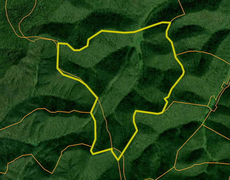 Screenshot 2026-01-20 at 12.03.22 PM