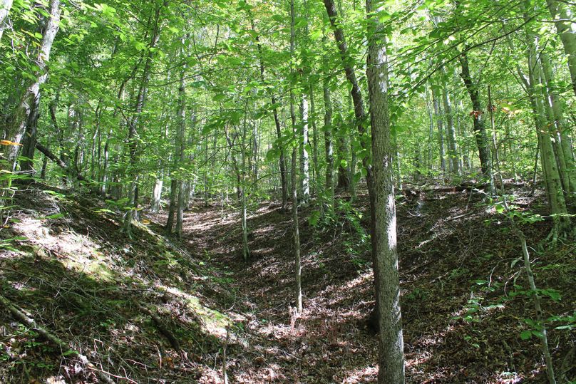 003 a small drain along the west facing slope of the valley